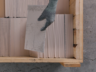 LSP_MosaeXArdex_57.jpg