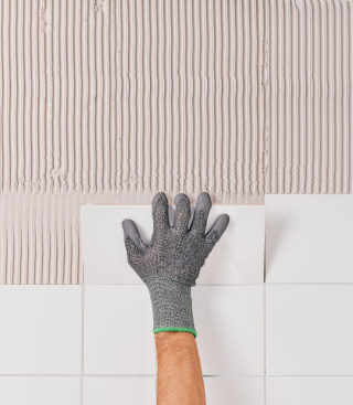 LSP_MosaeXArdex_01.jpg