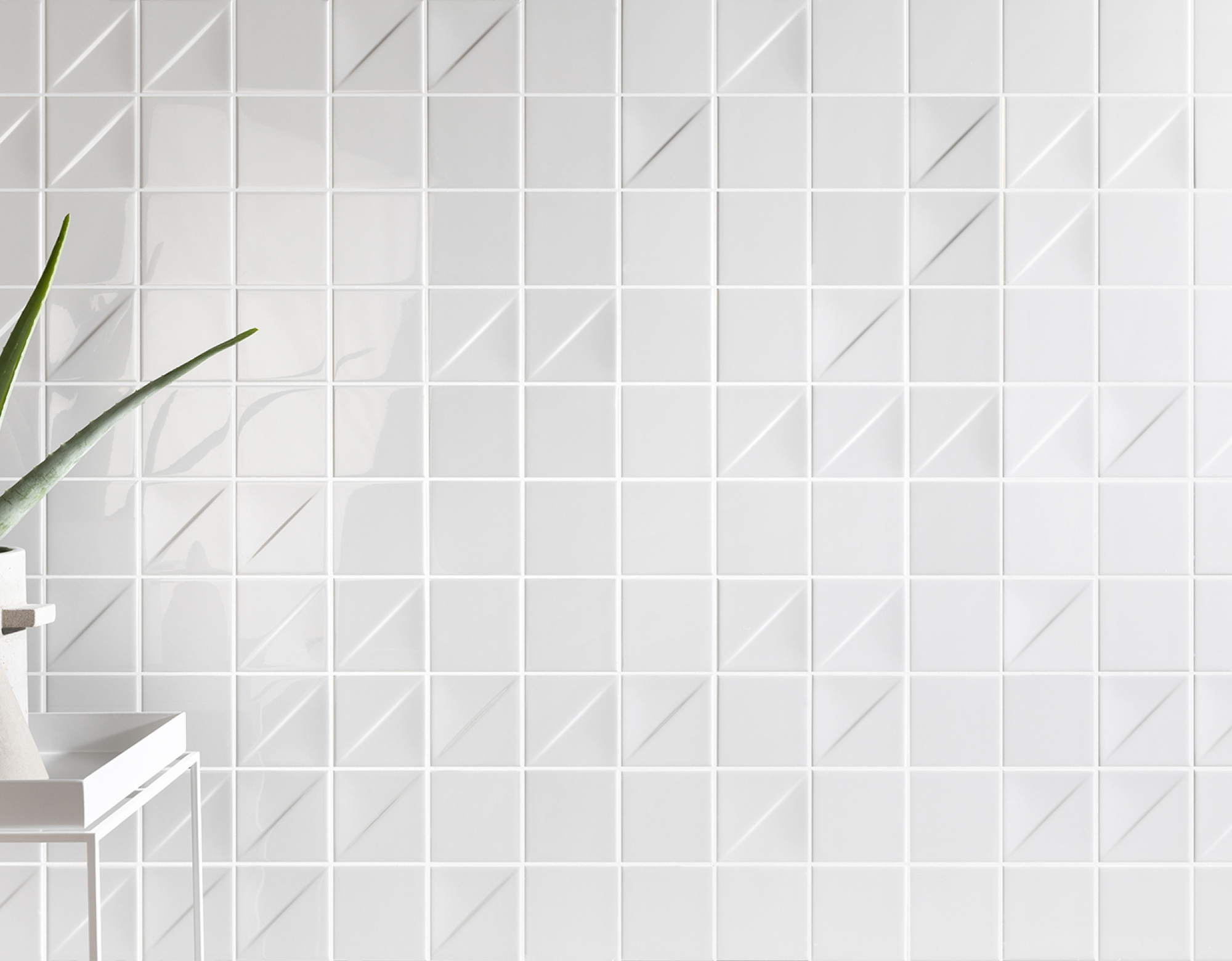 Mosa♡ MOSHA SUN | MOSCOT